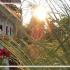 Perix House, private accommodation in city Neos Marmaras, Greece
